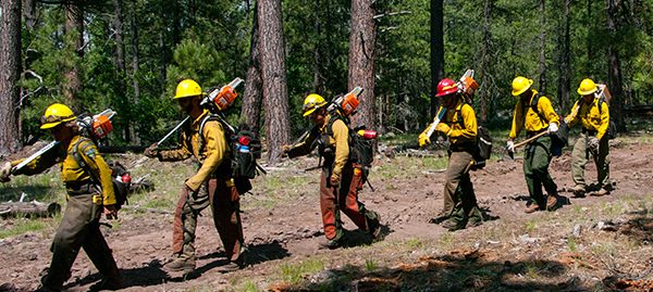 Camillo Fire 2015-06-24