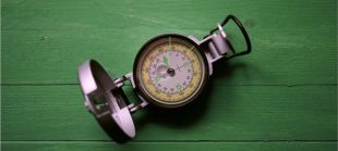 daledbet-compass-5423683_600_long_green