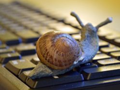 snail_keyboard_600x300