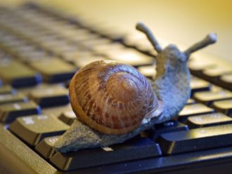 snail_keyboard_600x300