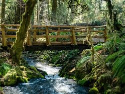 A bridge crosses Soda Creek in Cascadia State Park near Sweet Ho