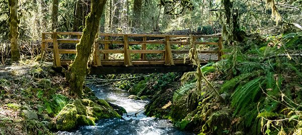 A bridge crosses Soda Creek in Cascadia State Park near Sweet Ho